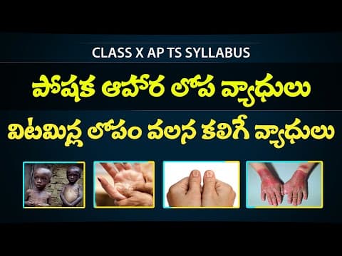 VITAMIN DEFICIENCY DISEASES in telugu  - POSHANA in telugu  - Class 10th biology  -  Eduscope 10 science
