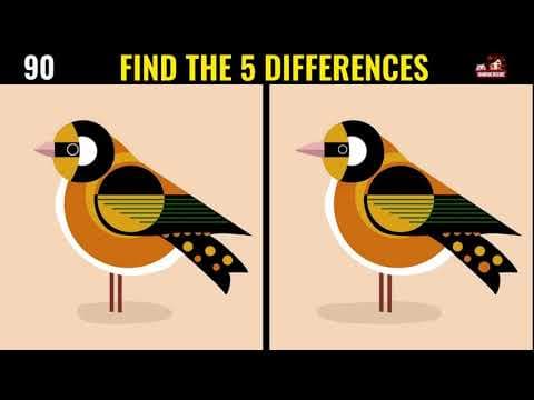 Have you ever seen such a difficult spot the difference game? Try this one first! (NO.11）