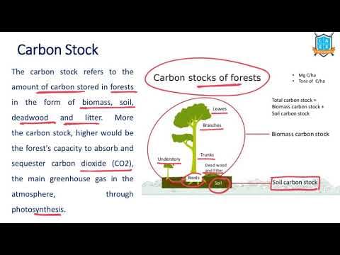 What is Carbon Stock ? || Carbon Stock అంటే ఏమిటి?
