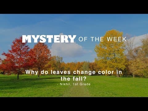 Why do leaves change color in the fall