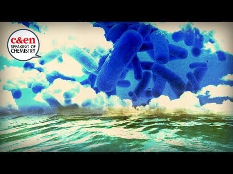 How Bacteria Make It Rain  Speaking of Chemistry Road Trip