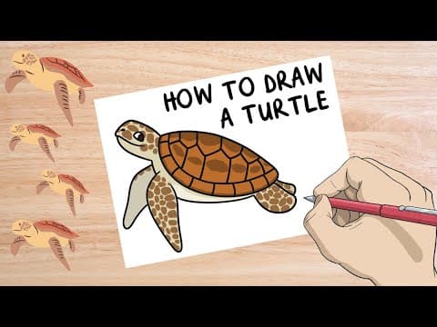 How to Draw a Sea Turtle | World Turtle Day Activities | Simple Art Tutorial for Kids | Twinkl USA