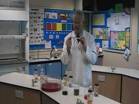 pH Scale
