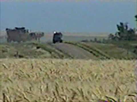 A Day on the Wheat Harvest