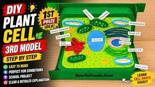 PLANT CELL model project using cardboard for science exhibition