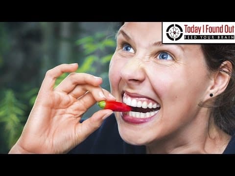 Why Do Peppers Taste Hot and Mint Taste Cold