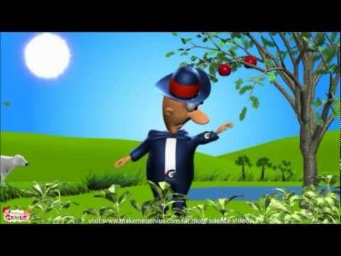 The Carbon Cycle,Carbon Dioxide -Cycle ( CO2 ) - YouTube
