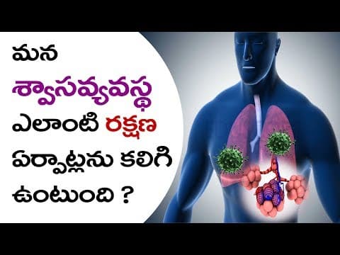 #Swasa vyavastha -Rakshana erpatlu | Respiratory System in Telugu | Eduscope Science