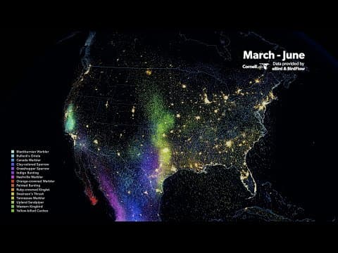 Spring Bird Migration, a Cornell Lab of Ornithology data visualization