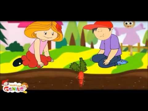 Plants Roots - Types ,Function - Lesson