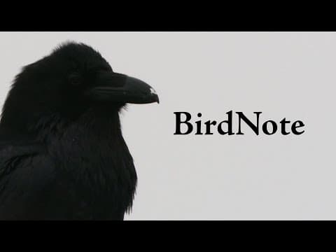 Birds with human arms and hands