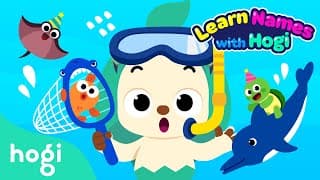 Daddy Shark and Sea Animals | Learn Names with Hogi | English Stories for Kids | Play with Hogi