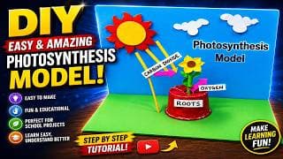 photosynthesis model for science project exhibition - simple and easy - diy