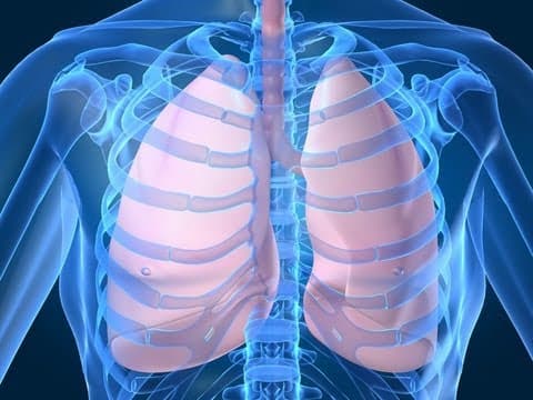 Respiratory System for Kids (Breathing)