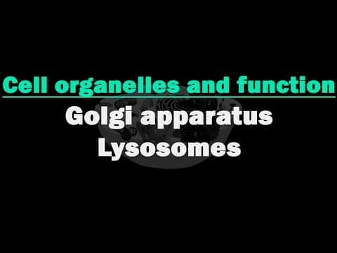 Cell Organelles and its Functions