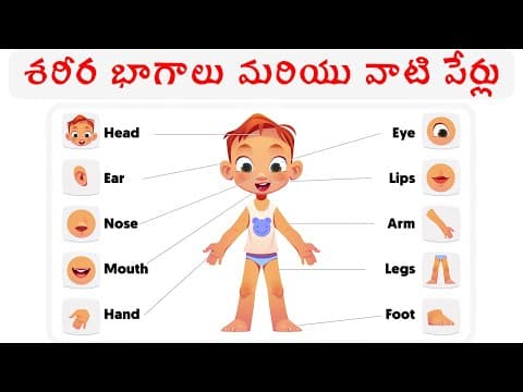 శరీర భాగాలు మరియు వాటి పేర్లు ||Body Parts for Kids |Telugu Pre School Videos - Kids Learning Videos