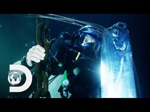 Jeremy Wade Finds The Fish Behind Legends Of Monstrous Sea Serpents - River Monsters