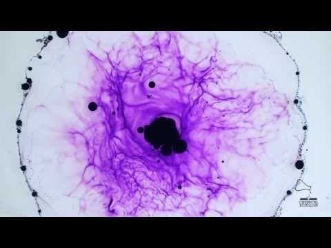 Hydrocarbon vs Ink - Implosion