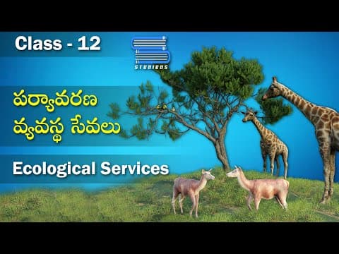 పర్యావరణ వ్యవస్థ సేవలు - Ecological Services | Ecosystem Chapter | Biology