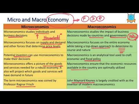 What is Micro vs Macro Economy ? || Branches of Economy అంటే ఏమిటి?