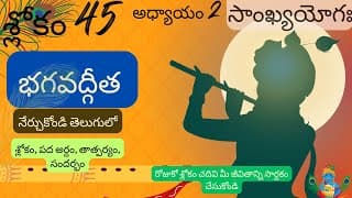 Bhagavad Gita chapter 2 verse 45||sankyayoga|| భగవద్గీత 2వ అధ్యాయం శ్లోకం 45|| divine touch telugu