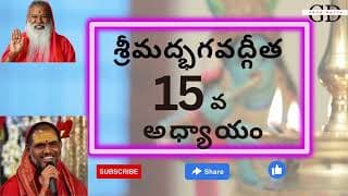 Bhagavad Gita Chapter -15 Telugu Lyrics | భగవద్గీత - 15వ అధ్యాయం పురుషోత్తమ ప్రాప్తి యోగః