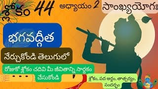 Bhagavad Gita chapter 2 verse 44||sankyayoga|| భగవద్గీత 2వ అధ్యాయం శ్లోకం 44|| divine touch telugu