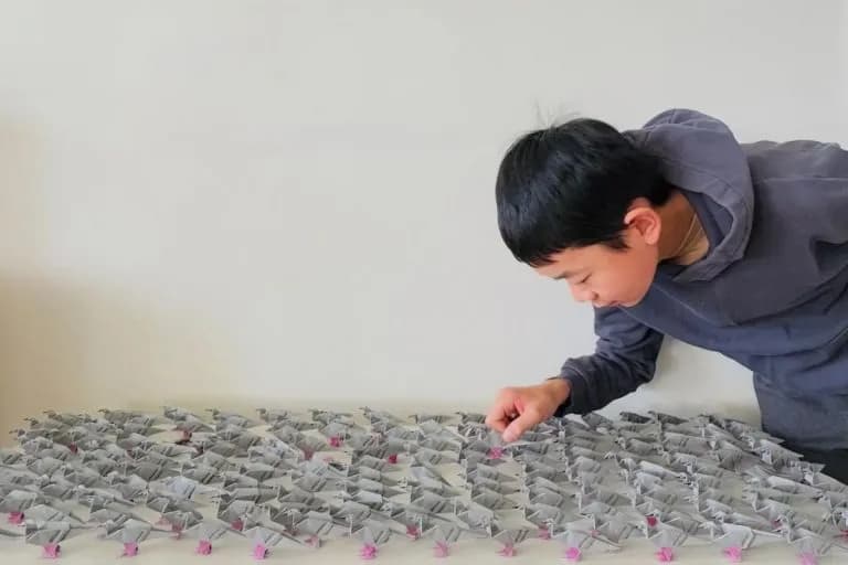 Teen Wins Science Contest With Origami Research